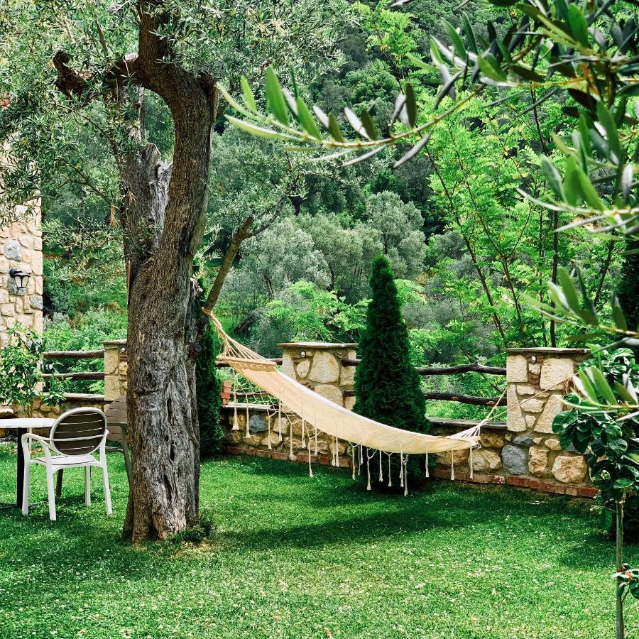 Farm stay Chateau Fasel Tirana